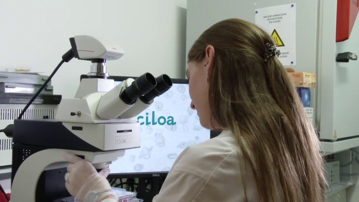 You are currently viewing Ciloa secures €6.5 million government funding from France 2030 ‘Innovation in biotherapies and biomanufacturing’ to develop drug candidate for treatment of obesity and type 2 diabetes